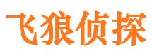 广河私家侦探